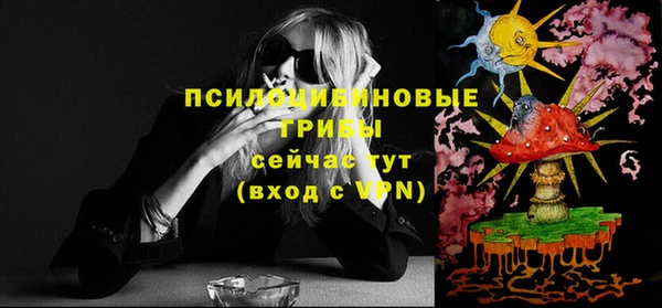 ПСИЛОЦИБИНОВЫЕ ГРИБЫ Балабаново