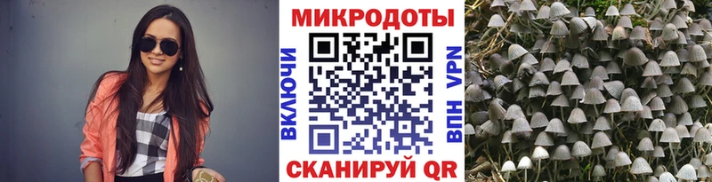 Псилоцибиновые грибы мицелий  Кунгур 